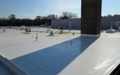 When is a Roof Coating the Best Option?