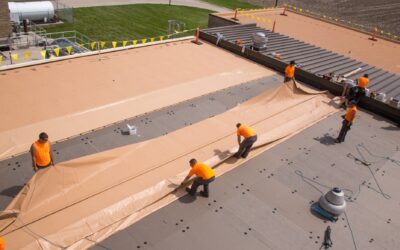 The Importance of Knowing What’s Going on With Your Roof